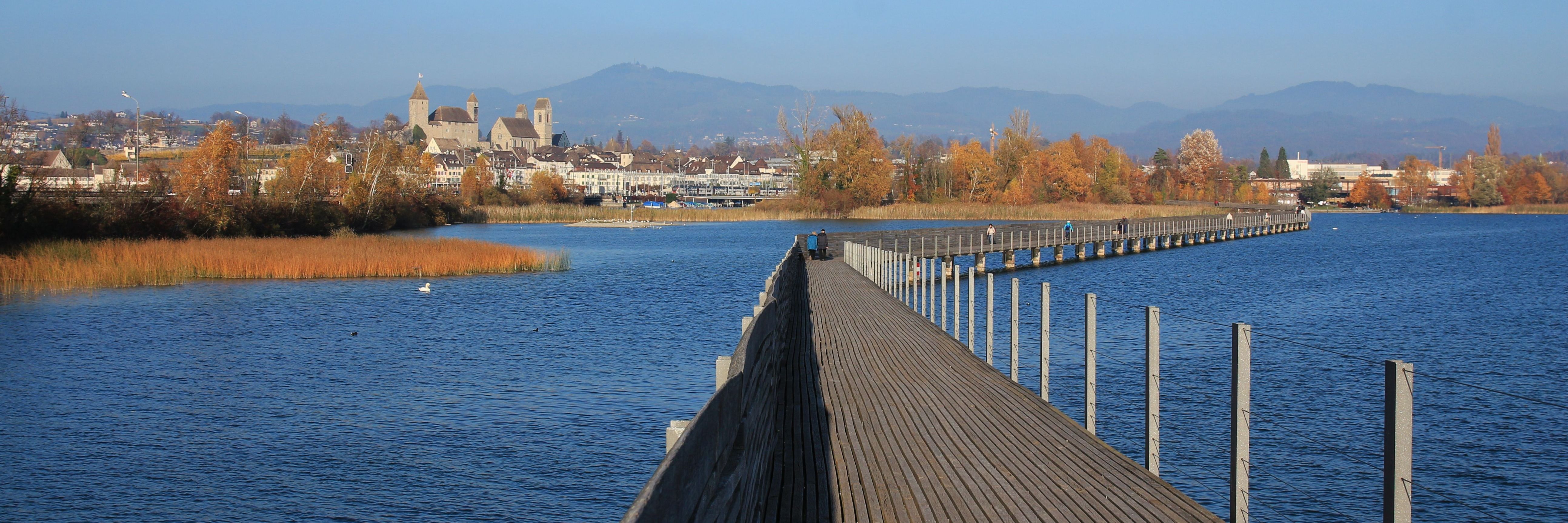 Rapperswil am Zürichsee mit Schloss und Hafen